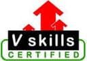 VSkills (VS-1429) logo